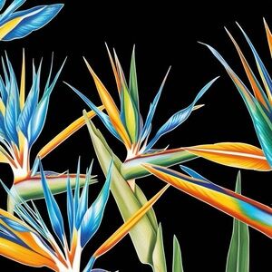 $20 Live Listing Show